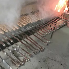 dasdawşik gözleýäs