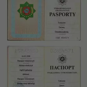 pasportymy gaçyrdym!