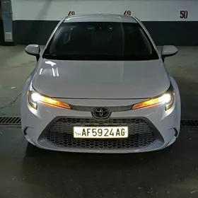 Toyota Corolla 2021