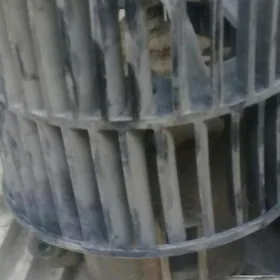 Wintelýator