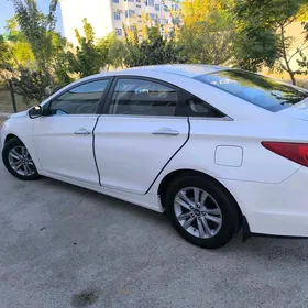 Hyundai Sonata 2010