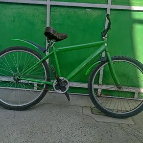 tigir gyssagly turkmenistan 26