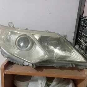 Cemry palta çyra