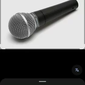 SHURE SM 58 arginal.