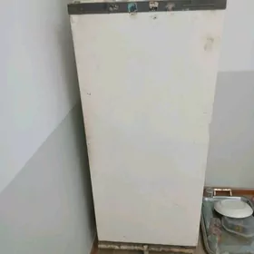 holodınyklar
