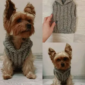 Вязаная одежда для питомцев