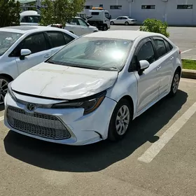 Toyota Corolla 2021