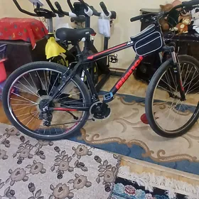 welosiped Bianchi aspid 29.