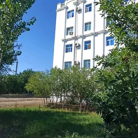 Talyp gyz almakçy
