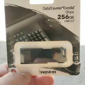 Flesga 256 GB  Kingston