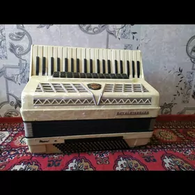 akkardeon