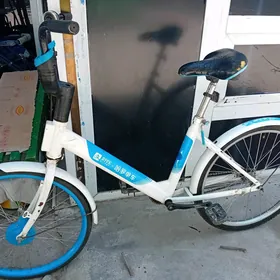 Tigir 24lik yapoşka