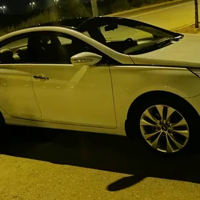 Hyundai Sonata 2011