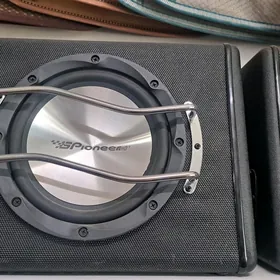 pioneer bocka
