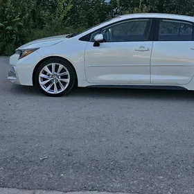 corolla xse diska
