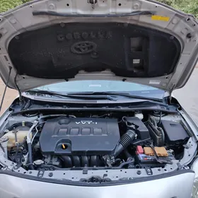 Toyota Corolla 2010
