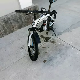 Bwm tigir 20lik