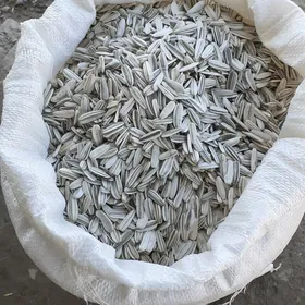 Çigit семичка чапай