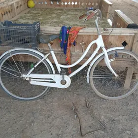 tigir 26lyk