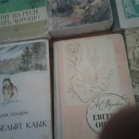 книги разных писателей для дет
