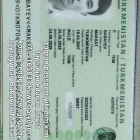 zagran pasport yitdi