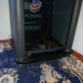 Telewizir pastafka