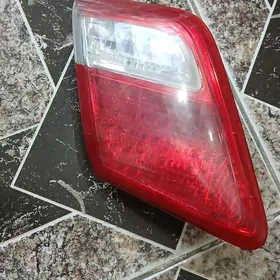 okuz kele stopnik cep tarap