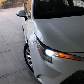 Toyota Corolla 2021