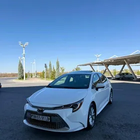 Toyota Corolla 2022
