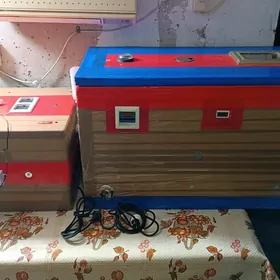 Inkubatorlar Инкубаторы