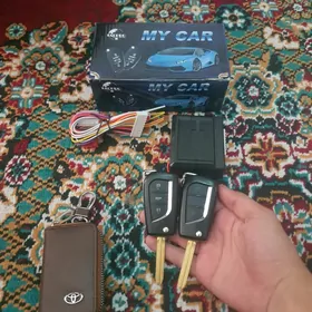 macigar taze
