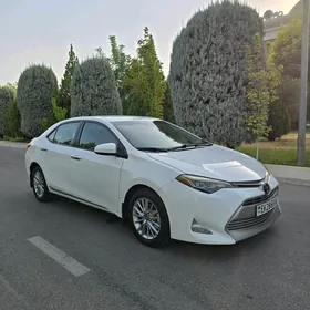 Toyota Corolla 2019