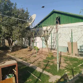 satyan plan jay продаю дом