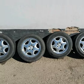 R16 radnoy