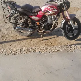 Fekon FK200-14G 2018