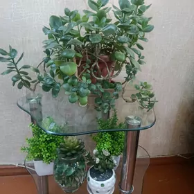 Цветы живые и искусственные