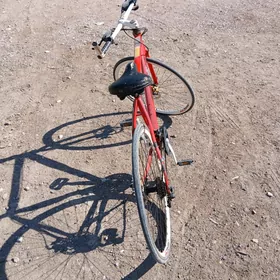 Tigir sportiwny