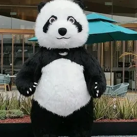 Ayy we panda