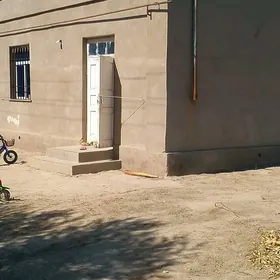 12 sotik