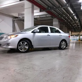Toyota Corolla 2008