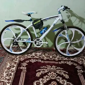 bmw tigir