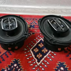 pioneer nikel kalonka 500 w