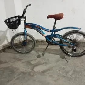 welisept