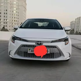 Toyota Corolla 2021