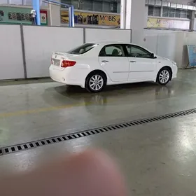 Toyota Corolla 2008