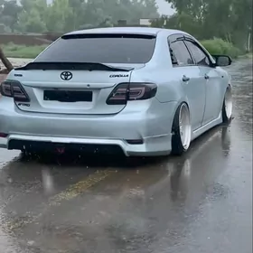 Spoler Sport