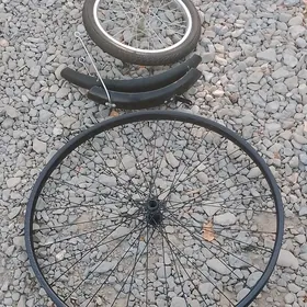 Tigir disga pakrisga