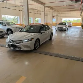 Toyota Camry 2024