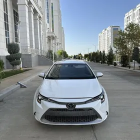 Toyota Corolla 2021