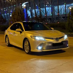 Toyota Camry 2019